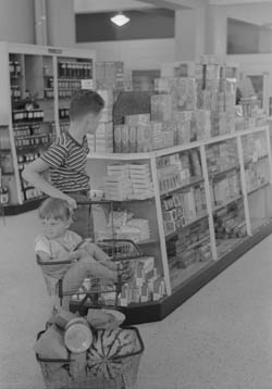 Photograph of a boy carrying a girl in a grocery basket inside a neatly-organized grocery store. 