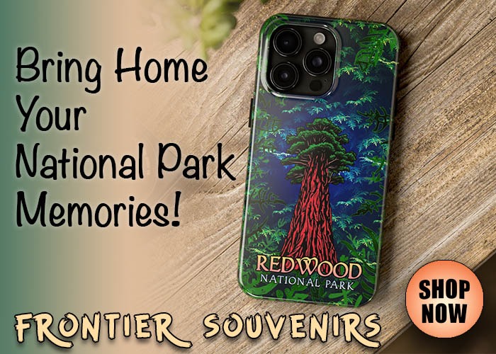 Banner ad for Frontier Souvenirs featuring Redwood National Park Cell Phone Case